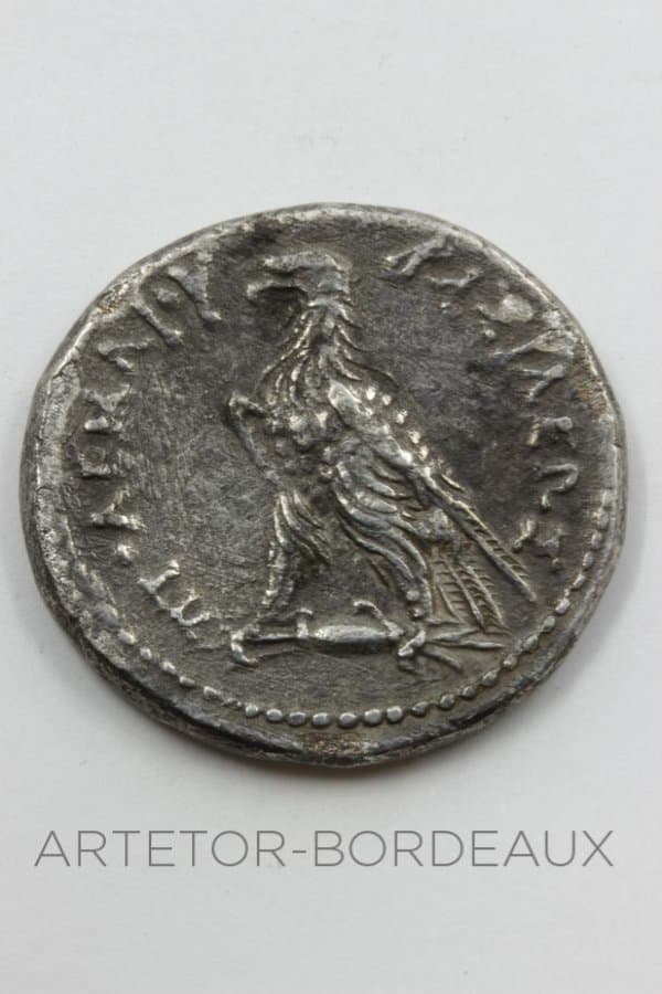 Tétradrachme Ptolémée 1er - photo 2